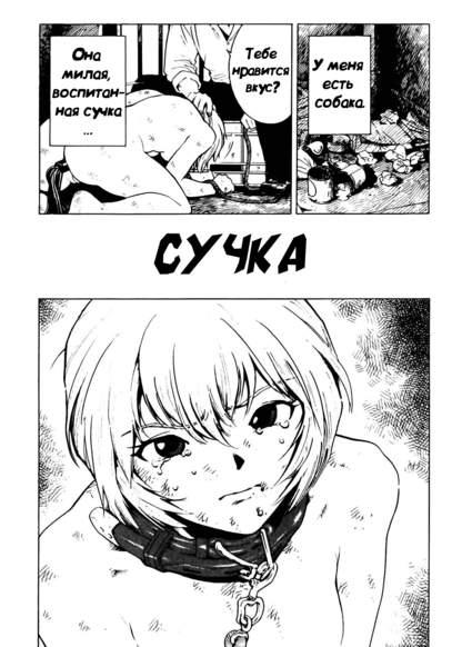 Сучка